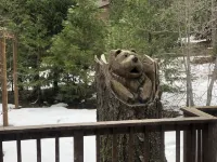 Mountain cabin with fireplace. Minutes away from Shaver Lake and China Peak.