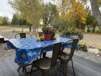 The Roost: Shady Custom Tiny Home