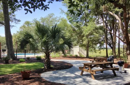 Tranquil tidal marsh setting