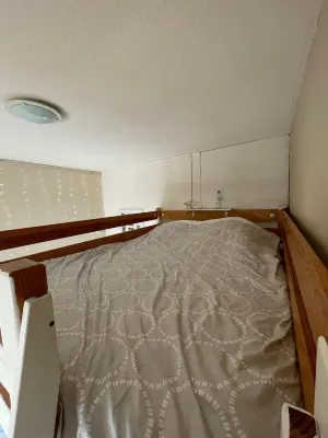 Renovated 4-person studio with lake view Artouste Fabrège