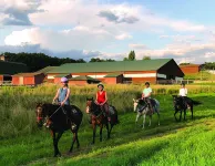 Ranch-Hand Cabin Near Letchworth State Park