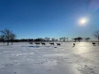 Hoegger’s Rustic Retreat is in the country with lots of wildlife & room to roam!