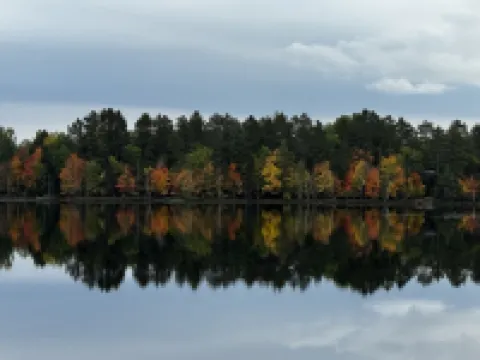 Cozy vintage cabin on a private lake in the Northwoods.