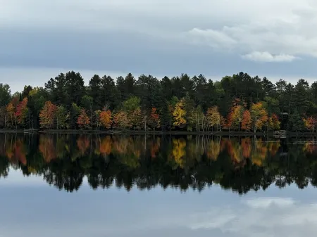 Cozy vintage cabin on a private lake in the Northwoods.