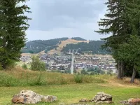Reindeer forest apartment