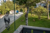 Cozy Beech Mountain getaway for the whole family