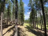Golden Summers Cabin WIFI, Close to Lake Pactola