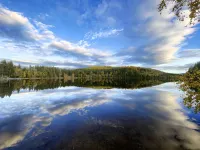 Cozy Apartment in a Quiet Location with Balcony - Tourist Tax and Final Cleaning Included Hotels in Lenzkirch