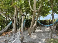 Oceanfront Paradise. Palm Trees, Hammocks, Heated Pool