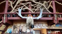 Beautiful Waterfront Hideaway at Sacheen Lake - Homestays