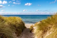 The Sanderling - Beach