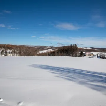 Starry Sky Cottage 16