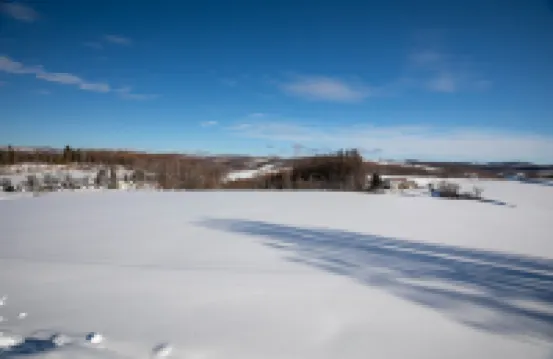 스타리 스카이 코티지 16