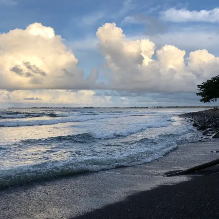 Spacious Historic Estate ~ 5 Min Walk to Hilo & Bay Front