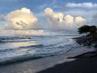 Spacious Historic Estate ~ 5 Min Walk to Hilo & Bay Front - 3-Star