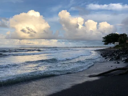 Spacious Historic Estate ~ 5 Min Walk to Hilo & Bay Front Отели рядом с достопримечательностью «Водопады Рейнбоу»