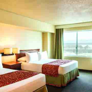 Avi Resort & Casino Rooms