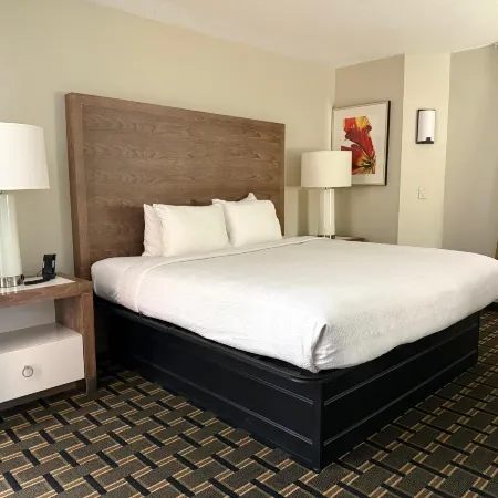 Edn Hotel