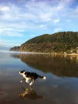 Sunny Cabin in Manzanita on the Oregon Coast, 5 min. walk by trail to the beach