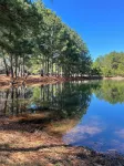 Entire Guest House with Pool, Jacuzzi and Lake Access Hotels near Spring Creek