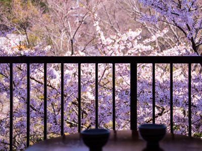 ホテルからの眺望 旅館 清少納言の写真