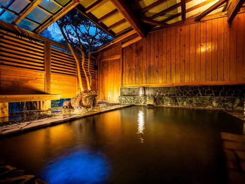 飯阪温泉天竜閣酒店 - SPA