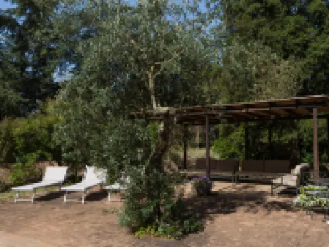 Il Giardino Di Eugenia