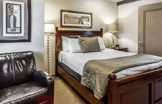 威萊斯市中心 - 66 號公路羅德威套房酒店