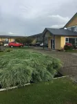 Monarch Motel
