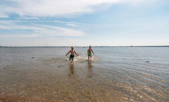 Lodge 4.5 km from the Seaside Town of Rockanje