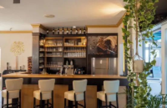 入住酒店 薩勒河酒店