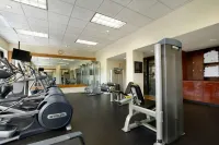 諾克斯維爾希爾頓飯店 - 健身房