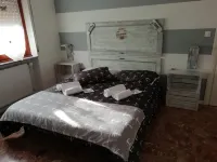 굿 모닝 쇼핑
