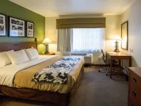 Sleep Inn & Suites Conference Center Eau Claire North Hotels in Wheaton