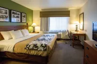 Sleep Inn & Suites Conference Center Eau Claire North