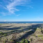 Hotel Playa Westfalia Hotels in Limon