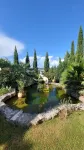 Tenuta Tegolato - Homestays