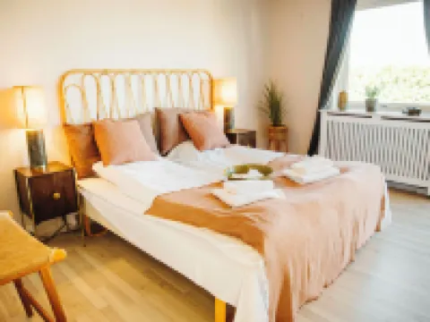 The Falcon Hotel Hotels in Allinge