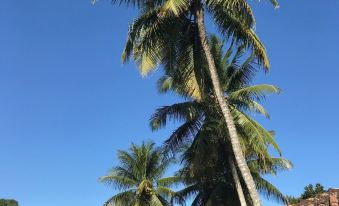 Céu Azul Pousada