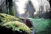 Waunwthan: B&B Suites Hotels in Llangeler