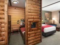 Great Wolf Lodge New England Hôtels à : Comte de Worcester