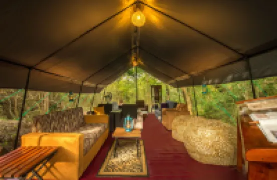 Big Game - Wilpattu by Eco Team