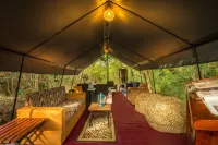 Big Game - Wilpattu by Eco Team Hotels in Pahala Maragahawewa