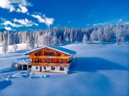 Chalet Apartment Obermanzl