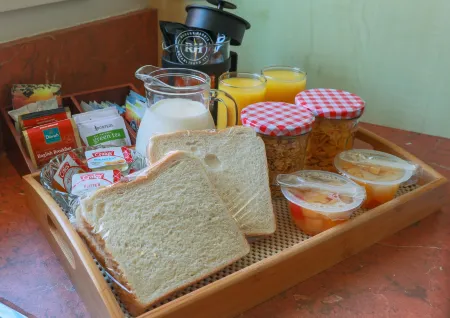 Bella Vista Motel Franz Josef Glacier Отели рядом с достопримечательностью «West Coast Wildlife Centre»