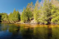 Secluded cabin on Betsie River with hot tub & firepit. Minutes to Crystal Mtn