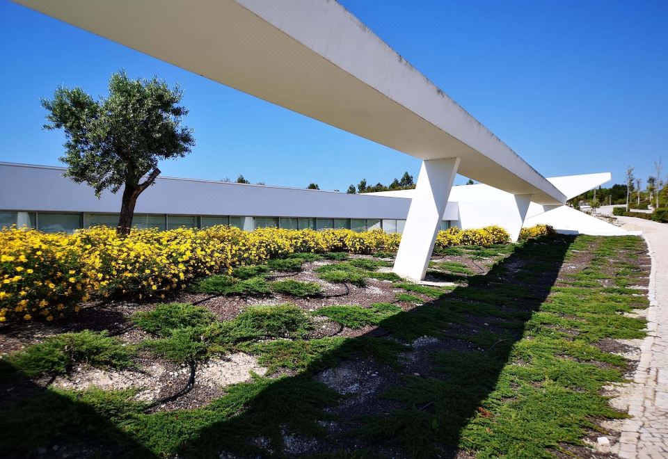 Hotel Modern Villa in Obidos Lisbon with Garden and Pool, Exterior, Garden