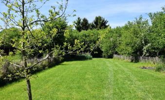 Relaxing Retreat Near Forests