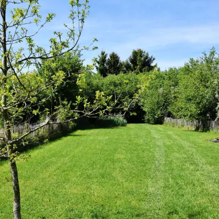 Relaxing Retreat Near Forests