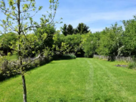 Relaxing Retreat Near Forests